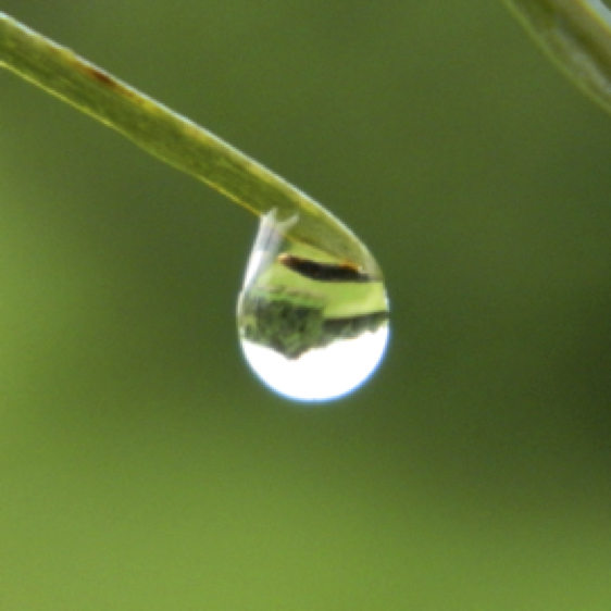 2.Waterdrop