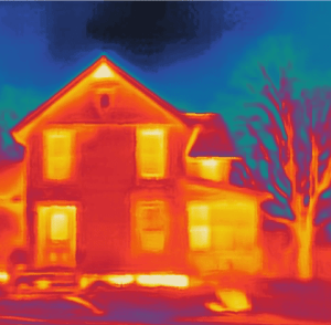 Screen Shot 2020-04-03 at 7.43.51 PM