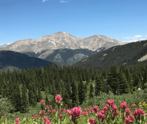 Screen Shot 2020-05-13 at 12.52.11 PM