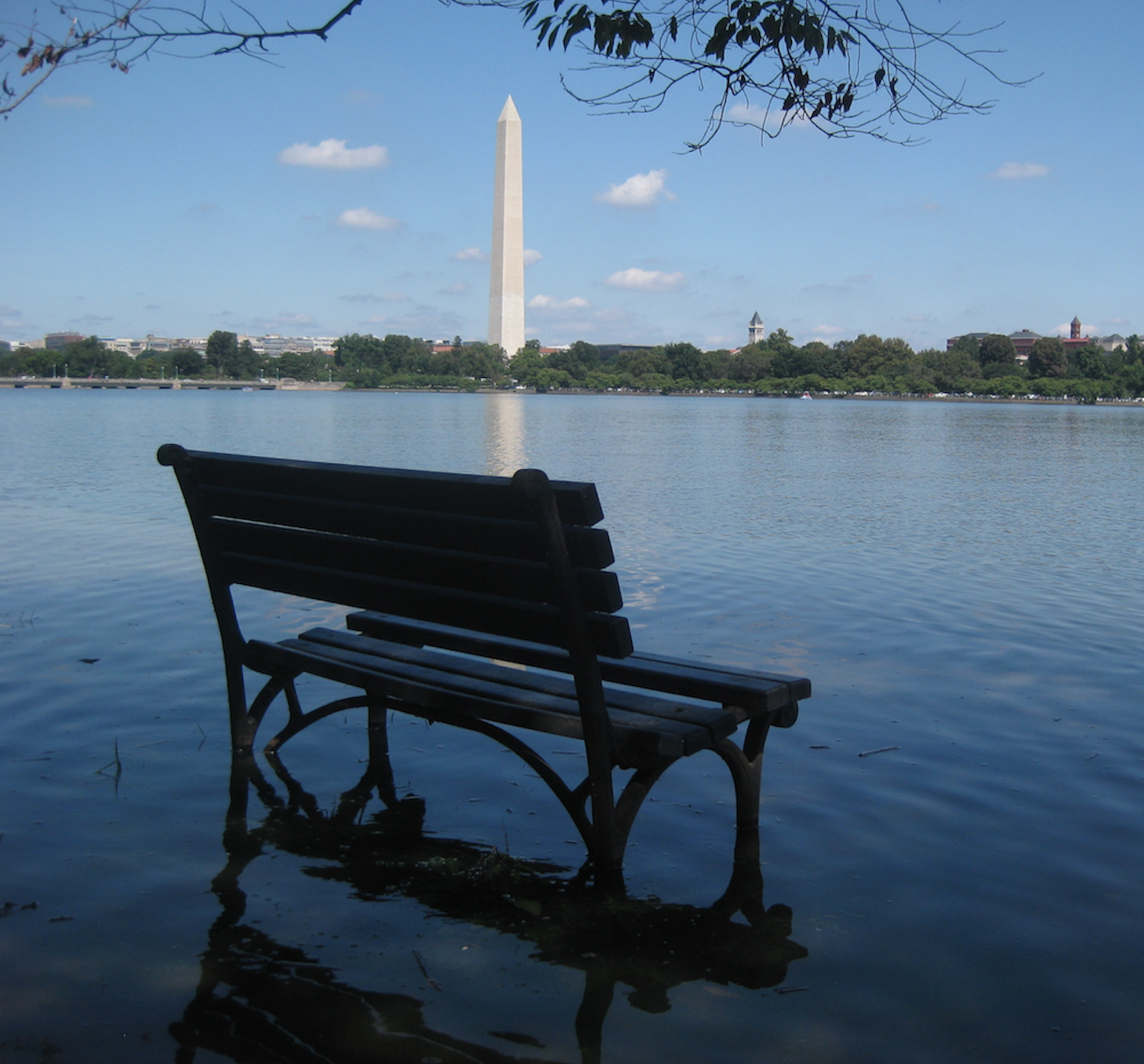 Screen Shot 2020-06-22 at 2.15.47 PM