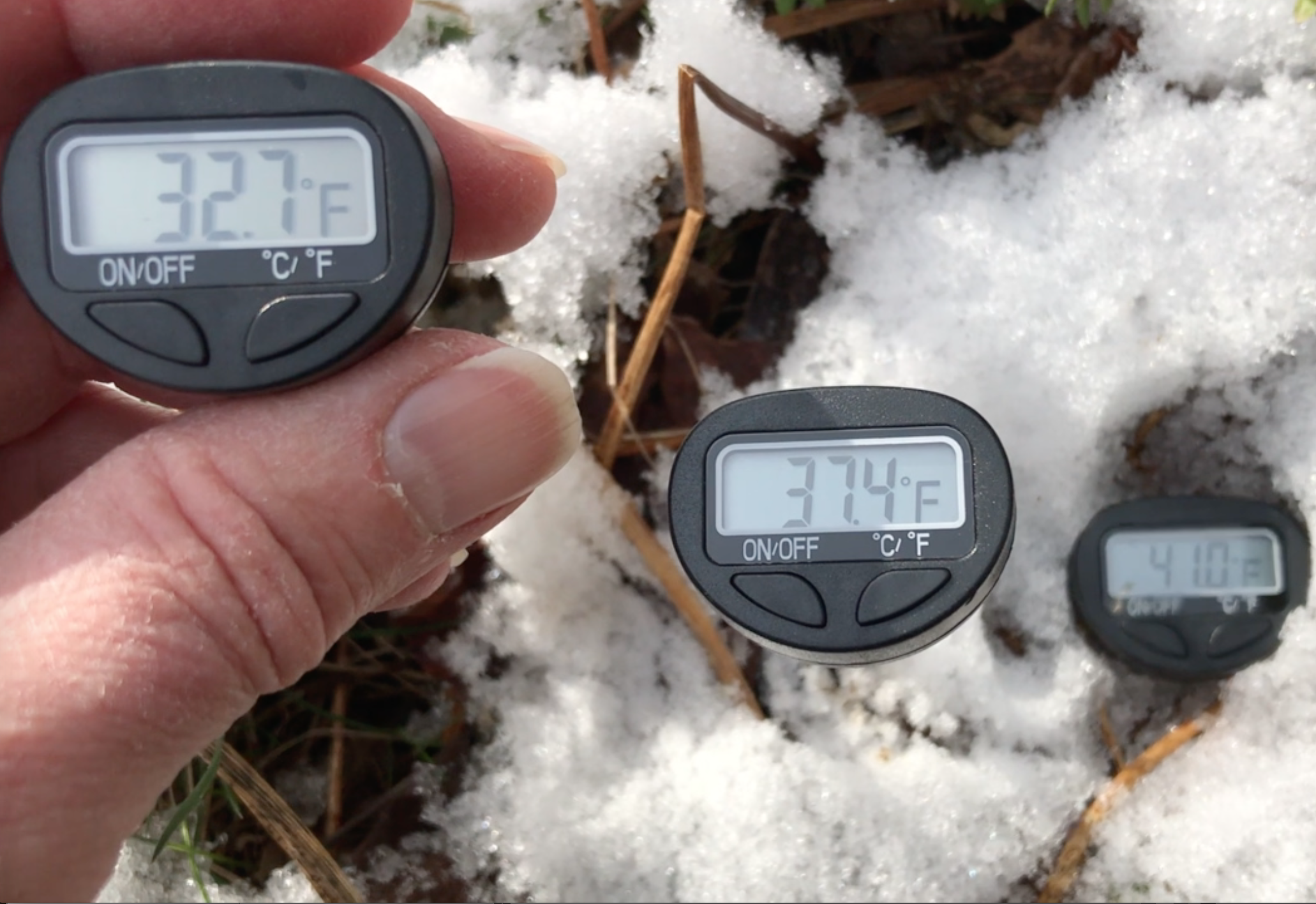 Screen Shot 2020-06-22 at 3.02.26 PM